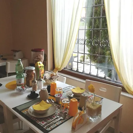 The Yellow House