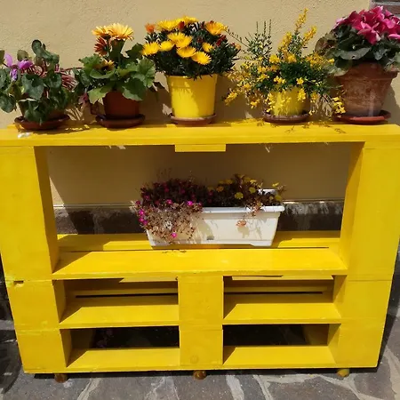 The Yellow House