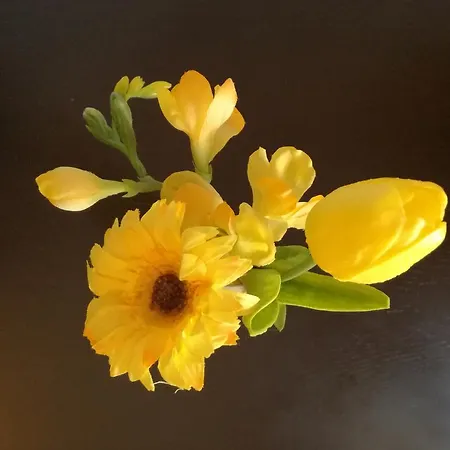 黄色别墅酒店 3*