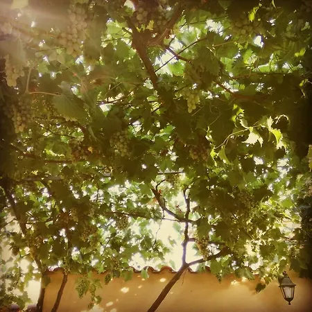 住宿加早餐酒店 黄色别墅酒店