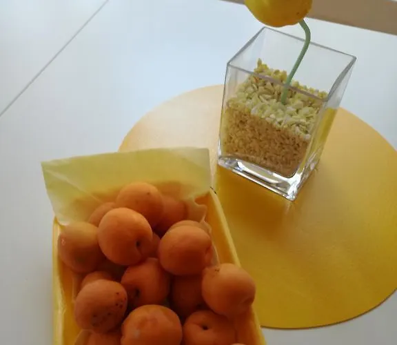 The Yellow House 3* Фьюмичино