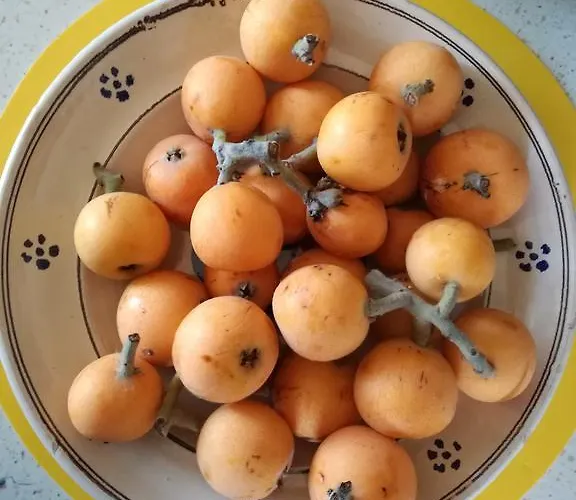 The Yellow House Фьюмичино